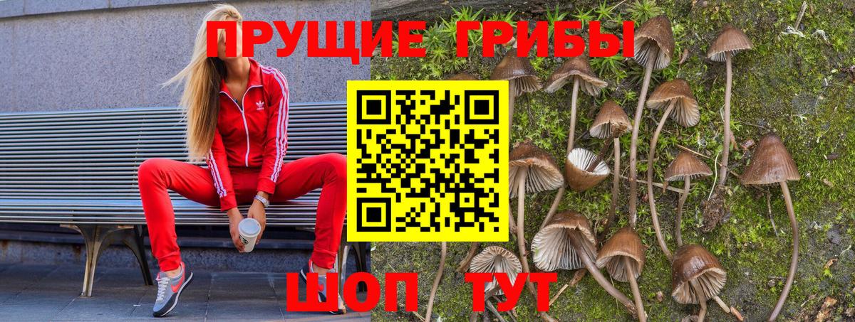 купить наркотик  Псилоцибиновые грибы Magic Shrooms  Вход с VPN  Галлюциногенные грибы мухоморы  Ростов Великий 